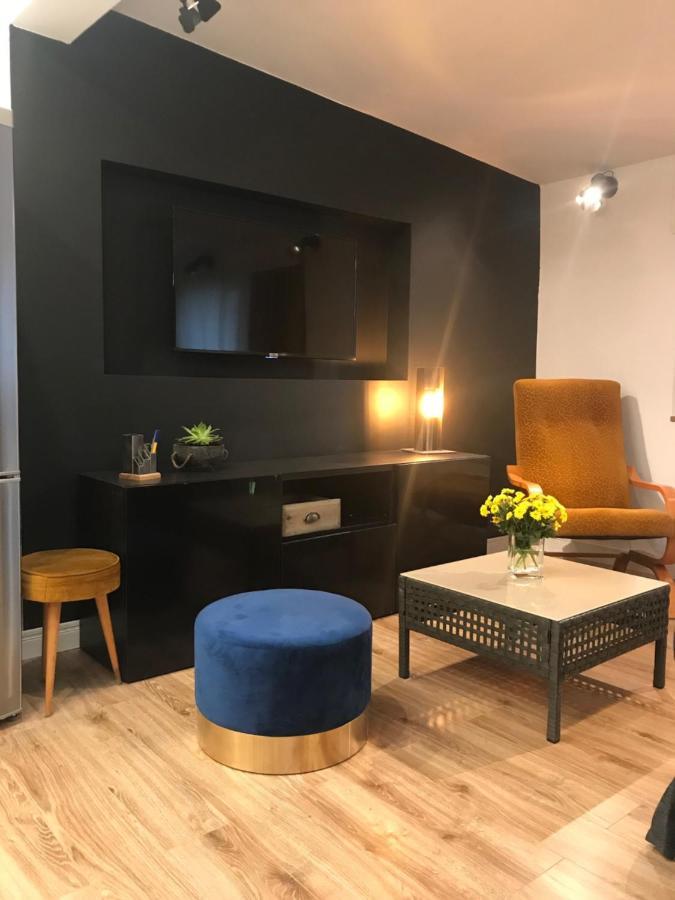 Apartament Ko-Piernika W Toruniu, W Sercu Torunskiej Starowki Экстерьер фото