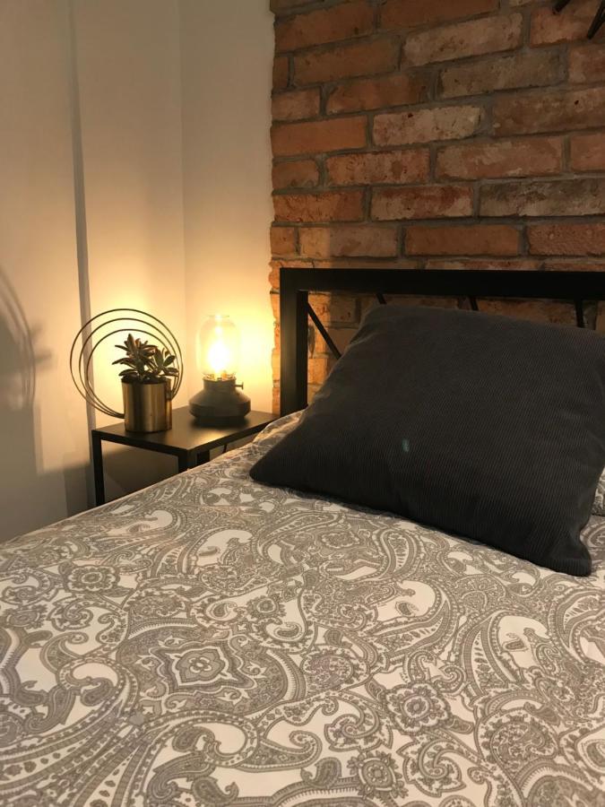 Apartament Ko-Piernika W Toruniu, W Sercu Torunskiej Starowki Экстерьер фото